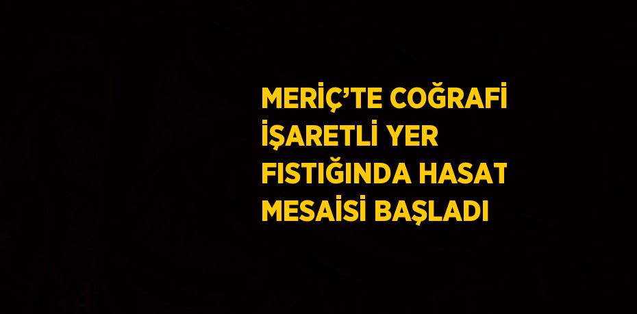 MERİÇ’TE COĞRAFİ İŞARETLİ YER FISTIĞINDA HASAT MESAİSİ BAŞLADI