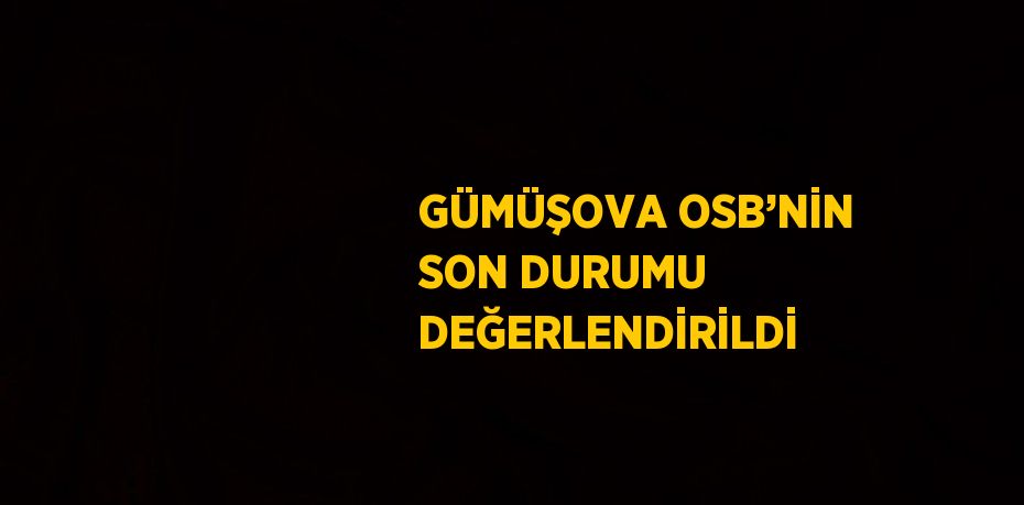 GÜMÜŞOVA OSB’NİN SON DURUMU DEĞERLENDİRİLDİ