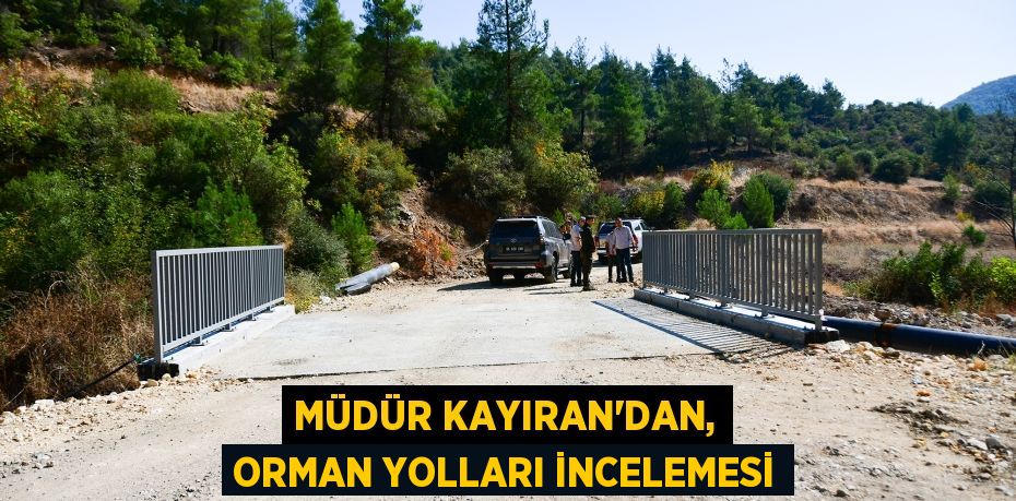 MÜDÜR KAYIRAN'DAN, ORMAN YOLLARI İNCELEMESİ