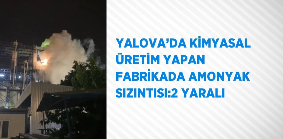 YALOVA’DA KİMYASAL ÜRETİM YAPAN FABRİKADA AMONYAK SIZINTISI:2 YARALI