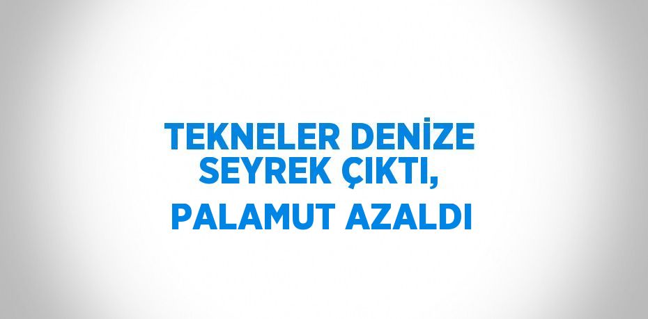 TEKNELER DENİZE SEYREK ÇIKTI, PALAMUT AZALDI