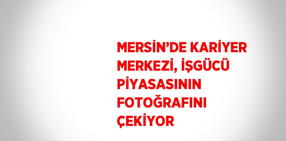 MERSİN’DE KARİYER MERKEZİ, İŞGÜCÜ PİYASASININ FOTOĞRAFINI ÇEKİYOR