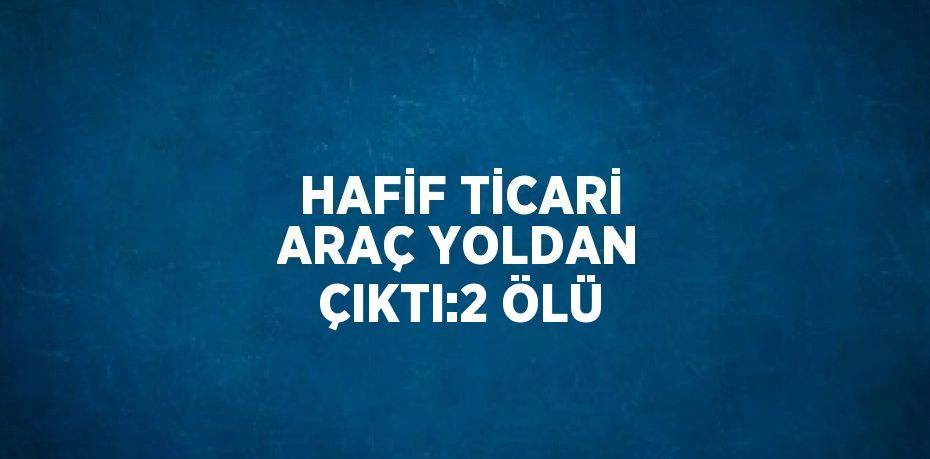 HAFİF TİCARİ ARAÇ YOLDAN ÇIKTI:2 ÖLÜ