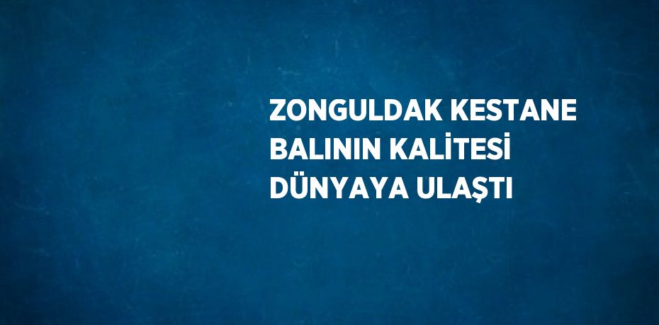 ZONGULDAK KESTANE BALININ KALİTESİ DÜNYAYA ULAŞTI