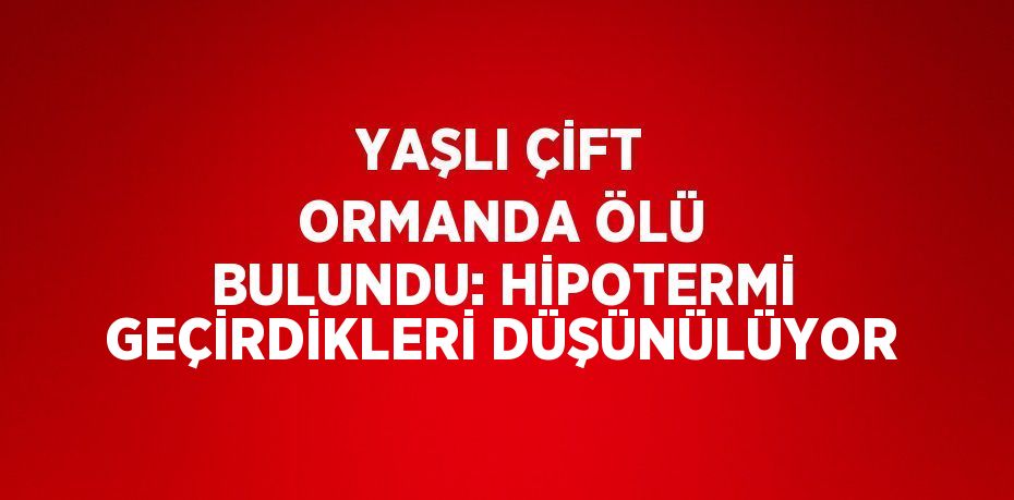 YAŞLI ÇİFT ORMANDA ÖLÜ BULUNDU: HİPOTERMİ GEÇİRDİKLERİ DÜŞÜNÜLÜYOR