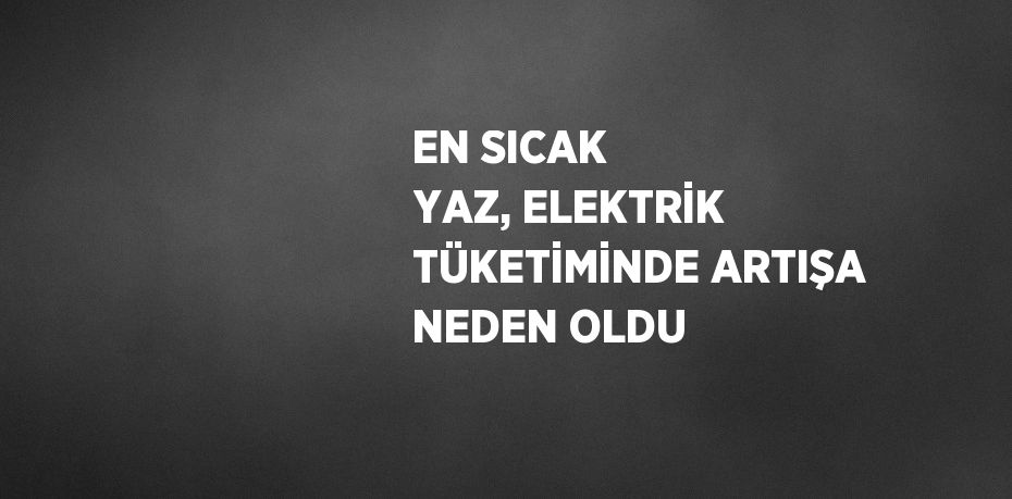 EN SICAK YAZ, ELEKTRİK TÜKETİMİNDE ARTIŞA NEDEN OLDU