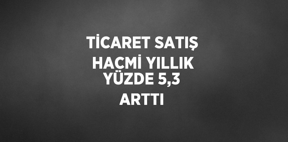 TİCARET SATIŞ HACMİ YILLIK YÜZDE 5,3 ARTTI