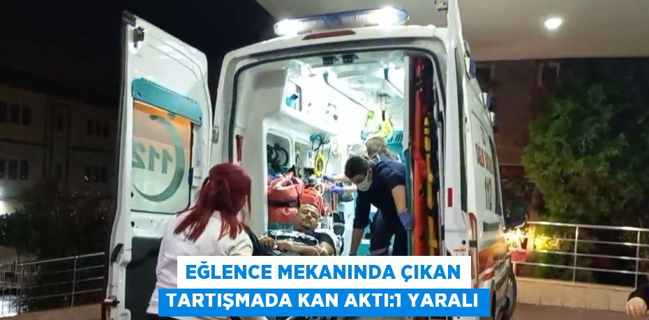 EĞLENCE MEKANINDA ÇIKAN TARTIŞMADA KAN AKTI:1 YARALI