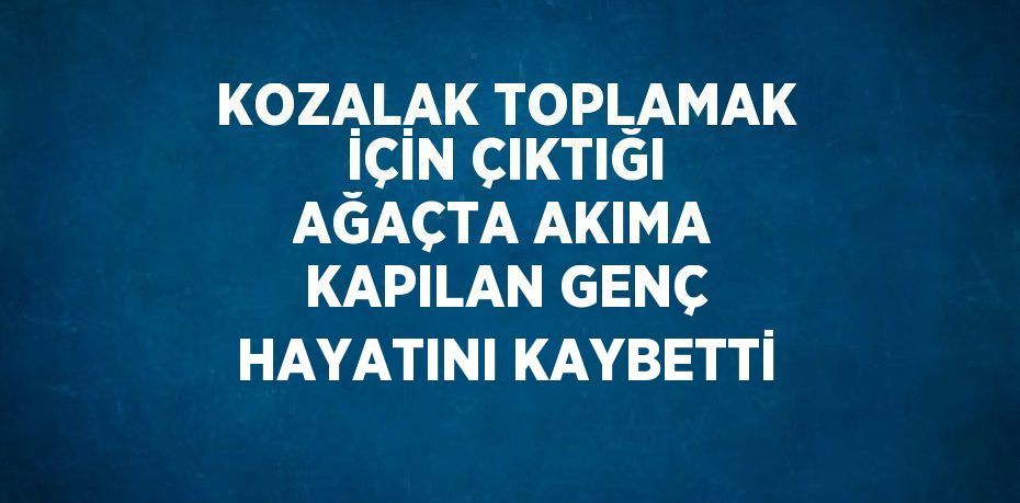 KOZALAK TOPLAMAK İÇİN ÇIKTIĞI AĞAÇTA AKIMA KAPILAN GENÇ HAYATINI KAYBETTİ