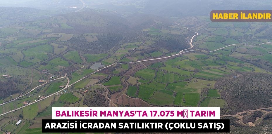 Balıkesir Manyas'ta 17.075 m² tarım arazisi icradan satılıktır (çoklu satış)