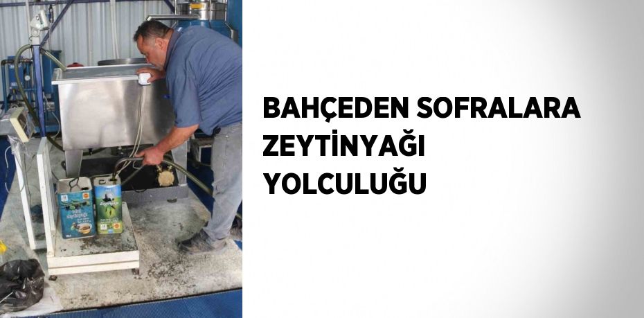 BAHÇEDEN SOFRALARA ZEYTİNYAĞI YOLCULUĞU