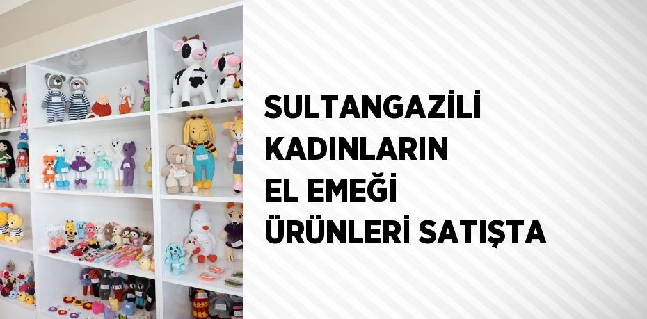 SULTANGAZİLİ KADINLARIN EL EMEĞİ ÜRÜNLERİ SATIŞTA