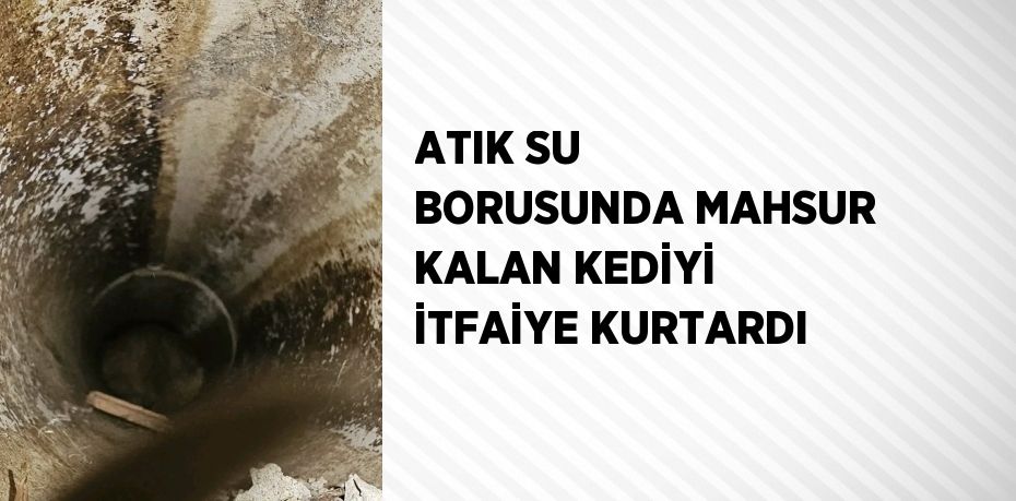 ATIK SU BORUSUNDA MAHSUR KALAN KEDİYİ İTFAİYE KURTARDI