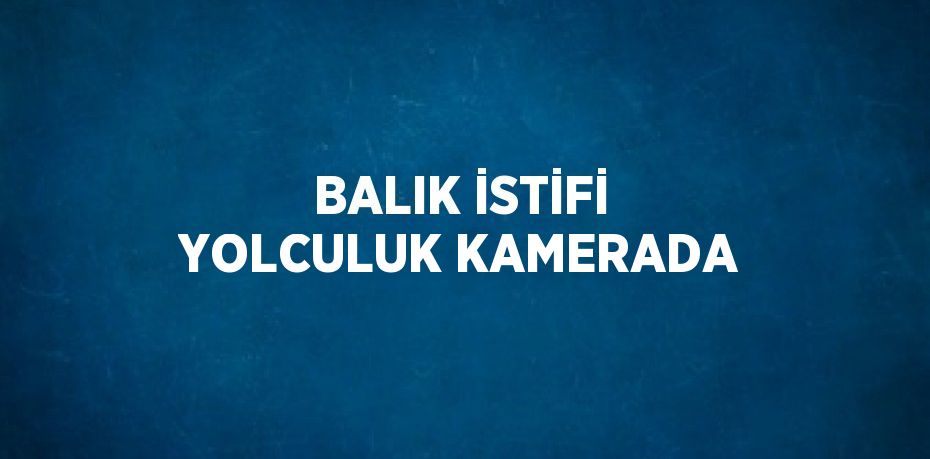 BALIK İSTİFİ YOLCULUK KAMERADA