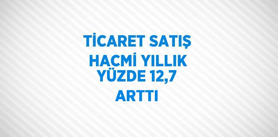 TİCARET SATIŞ HACMİ YILLIK YÜZDE 12,7 ARTTI