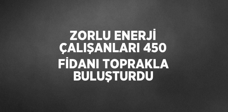 ZORLU ENERJİ ÇALIŞANLARI 450 FİDANI TOPRAKLA BULUŞTURDU