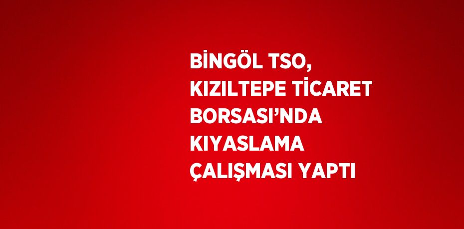 BİNGÖL TSO, KIZILTEPE TİCARET BORSASI’NDA KIYASLAMA ÇALIŞMASI YAPTI