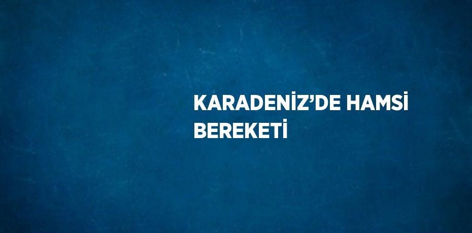 KARADENİZ’DE HAMSİ BEREKETİ