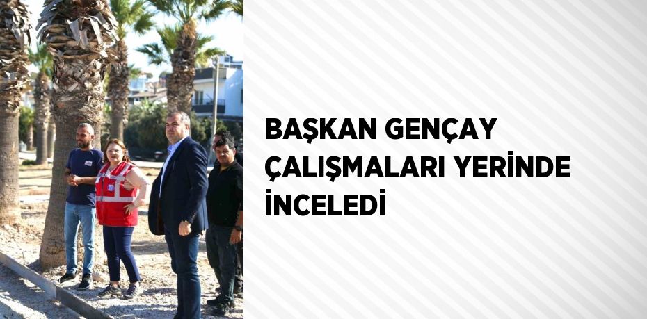 BAŞKAN GENÇAY ÇALIŞMALARI YERİNDE İNCELEDİ