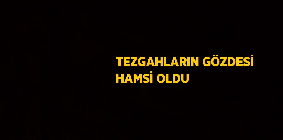 TEZGAHLARIN GÖZDESİ HAMSİ OLDU