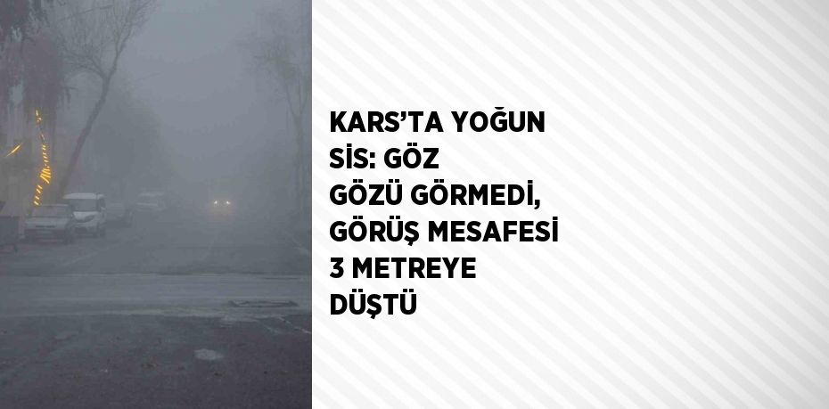 KARS’TA YOĞUN SİS: GÖZ GÖZÜ GÖRMEDİ, GÖRÜŞ MESAFESİ 3 METREYE DÜŞTÜ