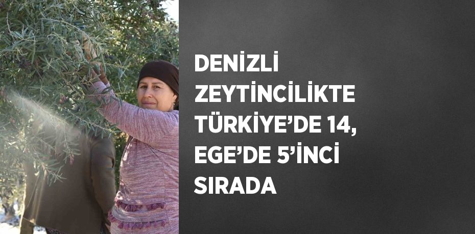 DENİZLİ ZEYTİNCİLİKTE TÜRKİYE’DE 14, EGE’DE 5’İNCİ SIRADA