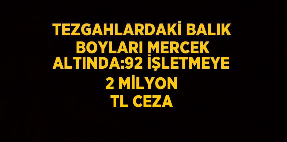 TEZGAHLARDAKİ BALIK BOYLARI MERCEK ALTINDA:92 İŞLETMEYE 2 MİLYON TL CEZA