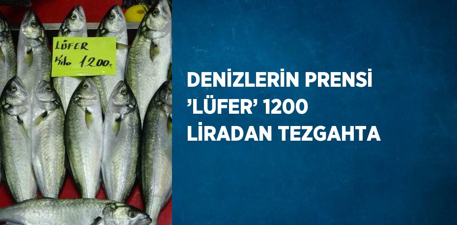 DENİZLERİN PRENSİ ’LÜFER’ 1200 LİRADAN TEZGAHTA