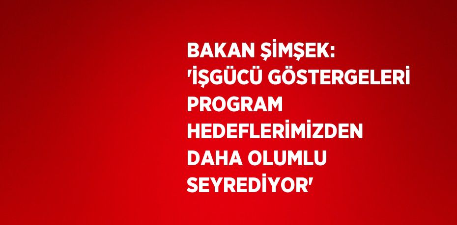 BAKAN ŞİMŞEK: 'İŞGÜCÜ GÖSTERGELERİ PROGRAM HEDEFLERİMİZDEN DAHA OLUMLU SEYREDİYOR'