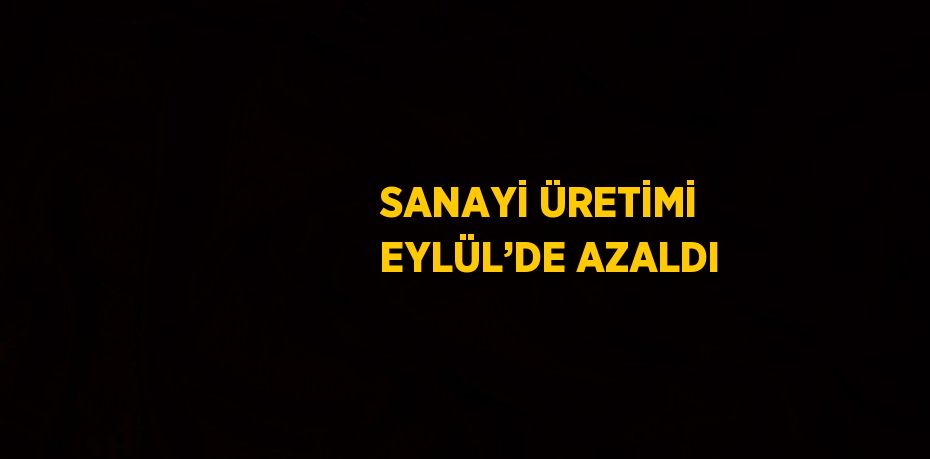 SANAYİ ÜRETİMİ EYLÜL’DE AZALDI