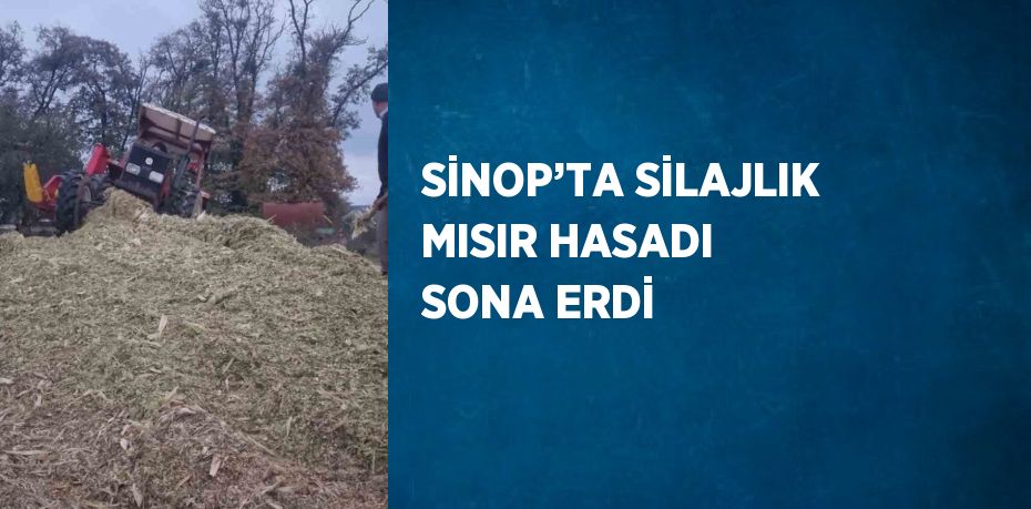 SİNOP’TA SİLAJLIK MISIR HASADI SONA ERDİ