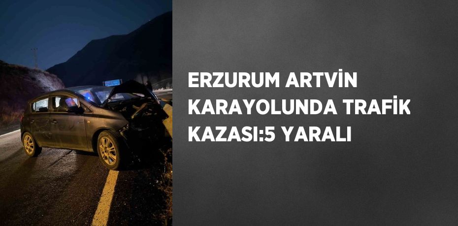 ERZURUM ARTVİN KARAYOLUNDA TRAFİK KAZASI:5 YARALI