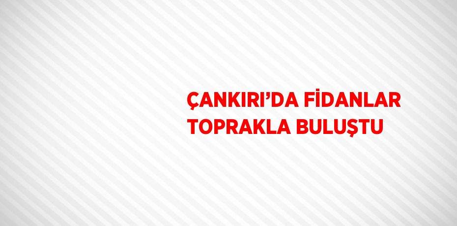 ÇANKIRI’DA FİDANLAR TOPRAKLA BULUŞTU