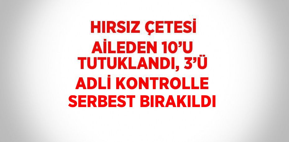 HIRSIZ ÇETESİ AİLEDEN 10’U TUTUKLANDI, 3’Ü ADLİ KONTROLLE SERBEST BIRAKILDI