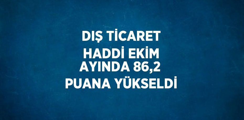 DIŞ TİCARET HADDİ EKİM AYINDA 86,2 PUANA YÜKSELDİ