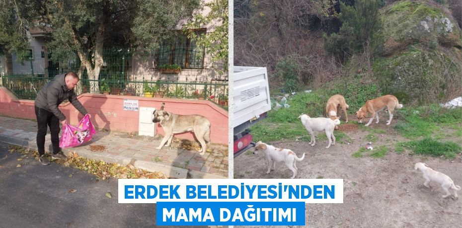 ERDEK BELEDİYESİ’NDEN MAMA DAĞITIMI