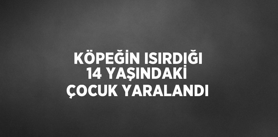 KÖPEĞİN ISIRDIĞI 14 YAŞINDAKİ ÇOCUK YARALANDI