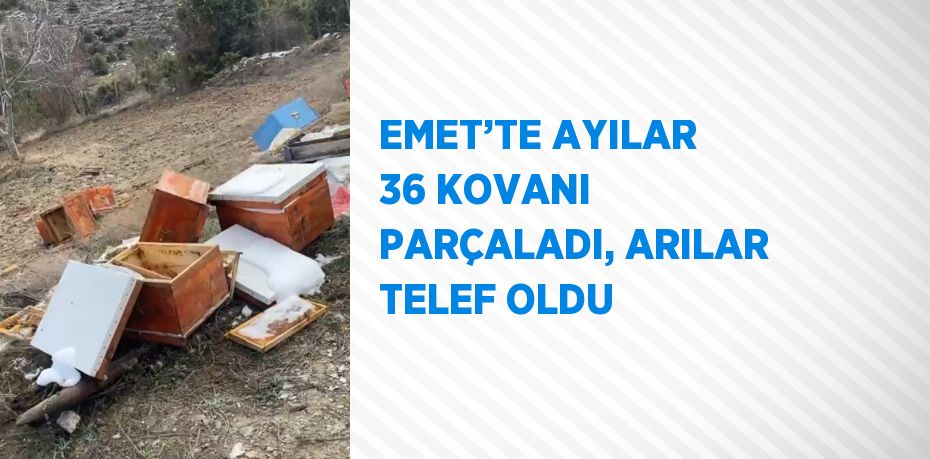 EMET’TE AYILAR 36 KOVANI PARÇALADI, ARILAR TELEF OLDU