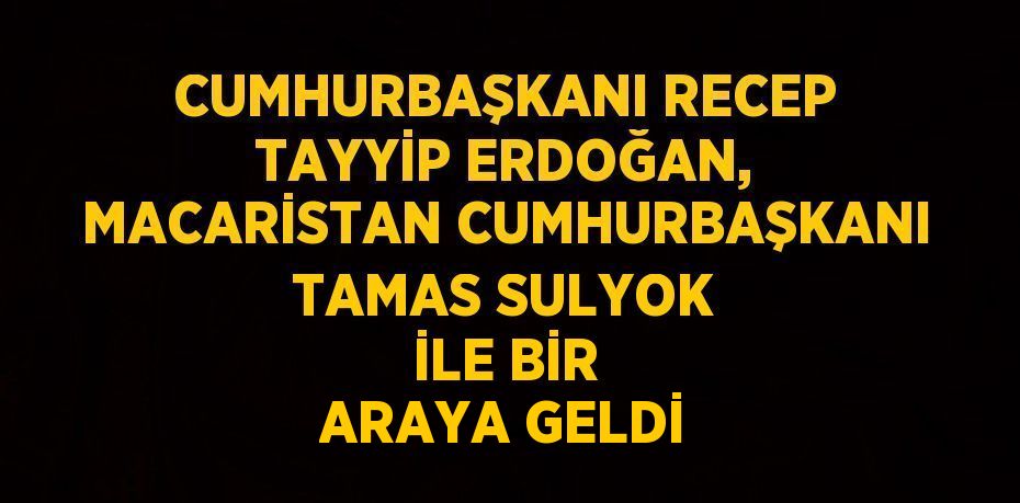 CUMHURBAŞKANI RECEP TAYYİP ERDOĞAN, MACARİSTAN CUMHURBAŞKANI TAMAS SULYOK İLE BİR ARAYA GELDİ