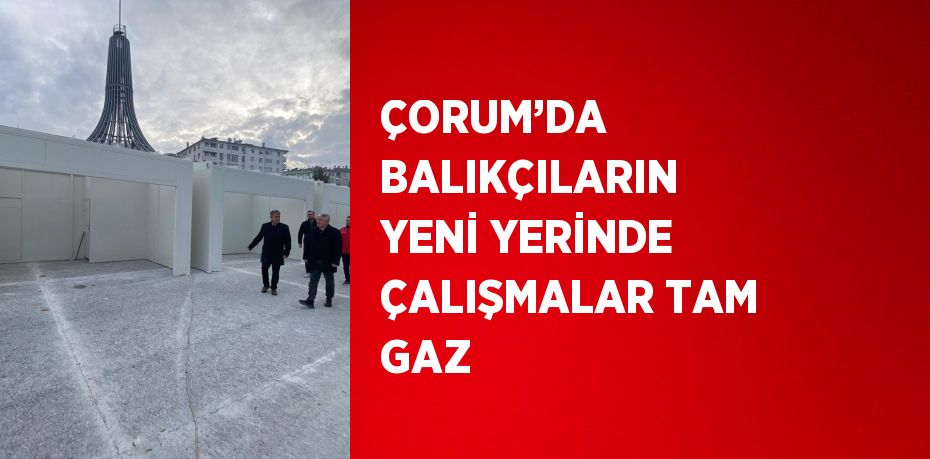 ÇORUM’DA BALIKÇILARIN YENİ YERİNDE ÇALIŞMALAR TAM GAZ