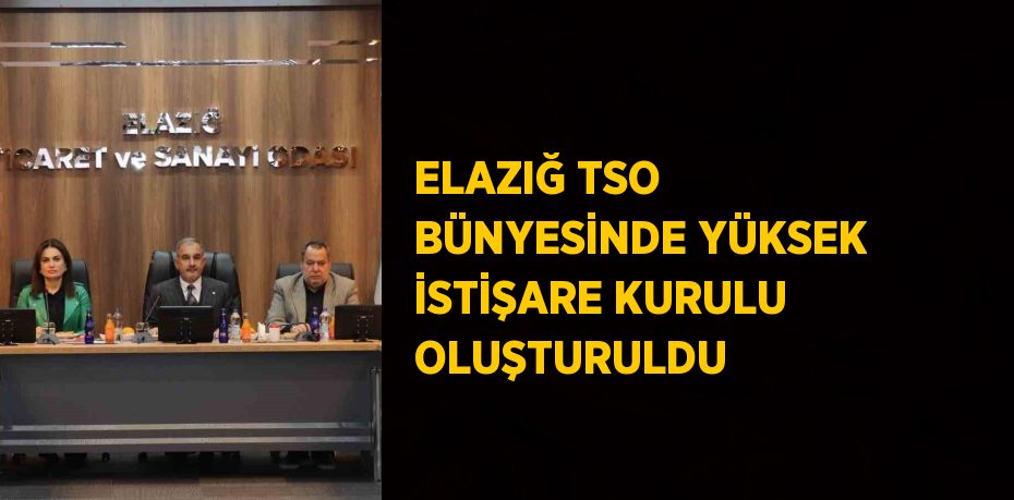 ELAZIĞ TSO BÜNYESİNDE YÜKSEK İSTİŞARE KURULU OLUŞTURULDU