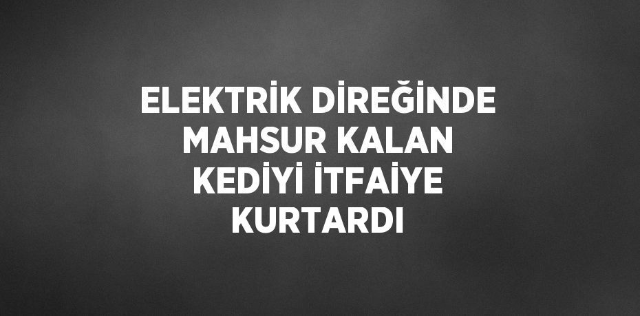 ELEKTRİK DİREĞİNDE MAHSUR KALAN KEDİYİ İTFAİYE KURTARDI