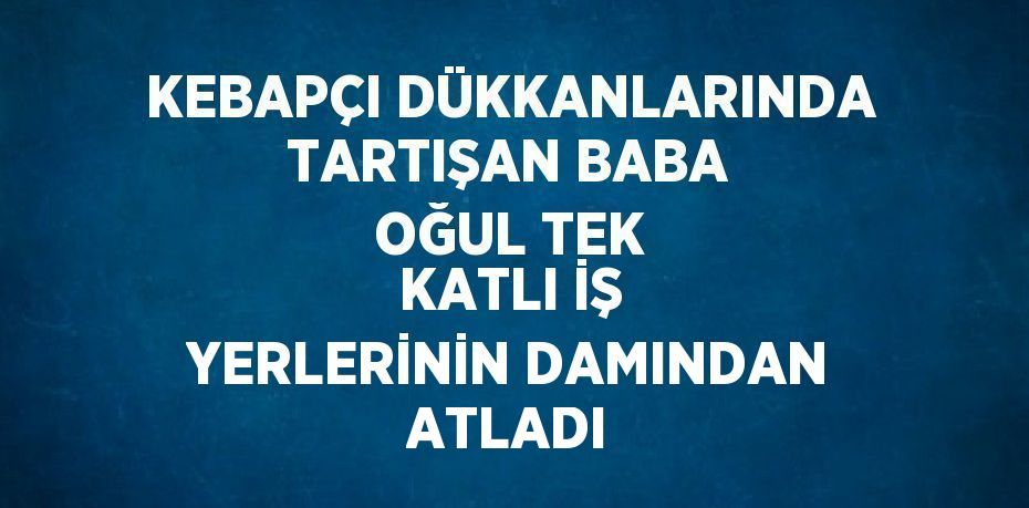 KEBAPÇI DÜKKANLARINDA TARTIŞAN BABA OĞUL TEK KATLI İŞ YERLERİNİN DAMINDAN ATLADI