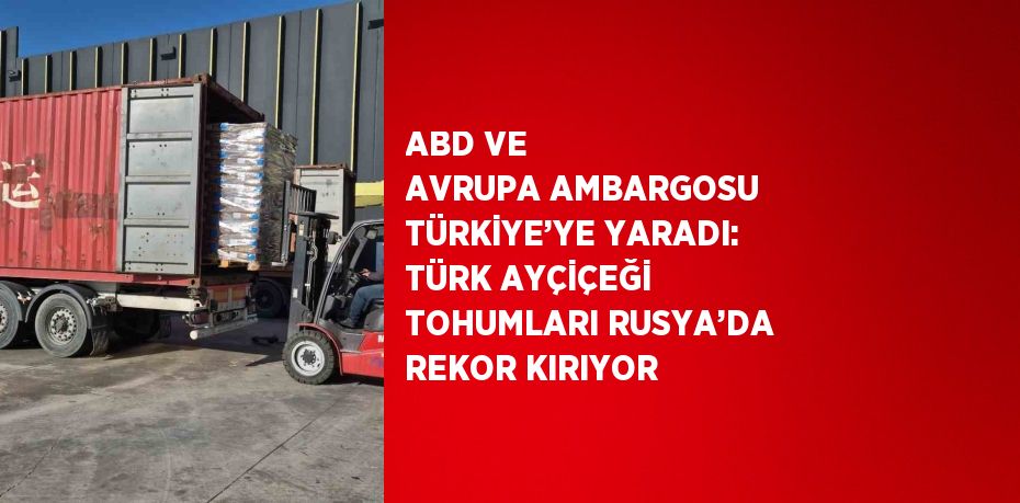 ABD VE AVRUPA AMBARGOSU TÜRKİYE’YE YARADI: TÜRK AYÇİÇEĞİ TOHUMLARI RUSYA’DA REKOR KIRIYOR