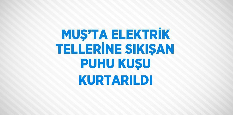 MUŞ’TA ELEKTRİK TELLERİNE SIKIŞAN PUHU KUŞU KURTARILDI