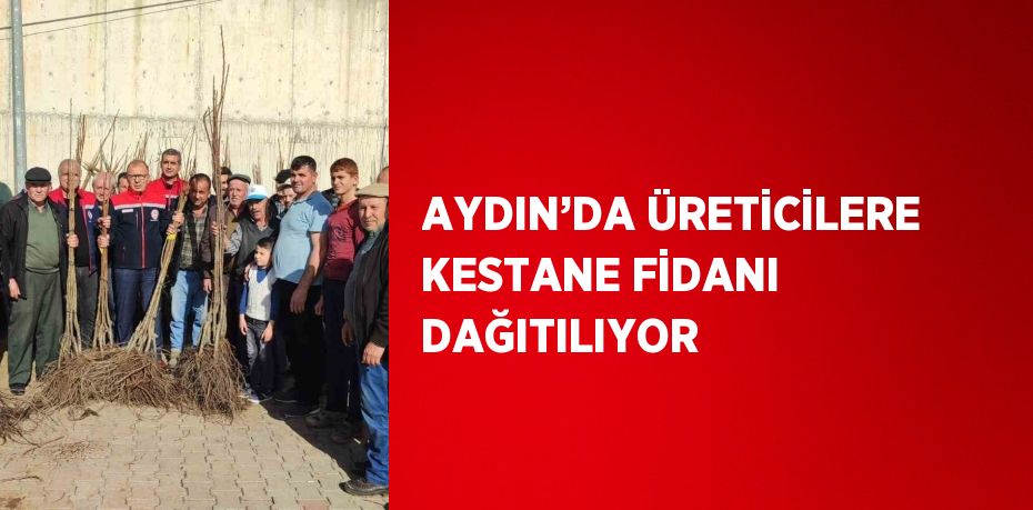 AYDIN’DA ÜRETİCİLERE KESTANE FİDANI DAĞITILIYOR