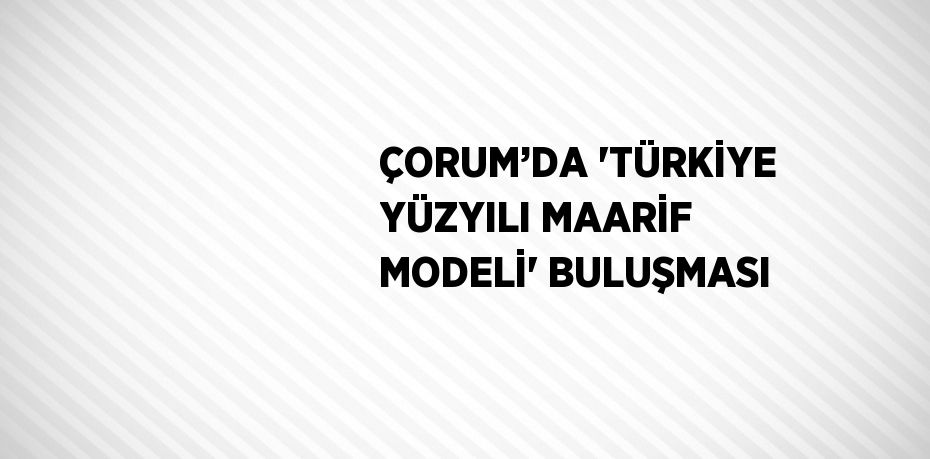 ÇORUM’DA 'TÜRKİYE YÜZYILI MAARİF MODELİ' BULUŞMASI