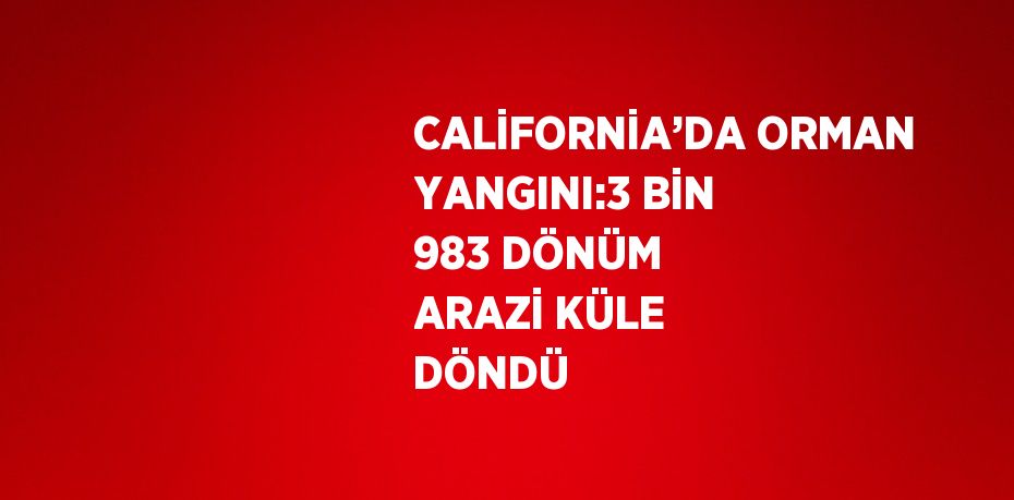 CALİFORNİA’DA ORMAN YANGINI:3 BİN 983 DÖNÜM ARAZİ KÜLE DÖNDÜ