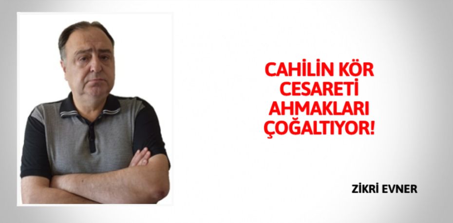 CAHİLİN KÖR CESARETİ  AHMAKLARI ÇOĞALTIYOR!