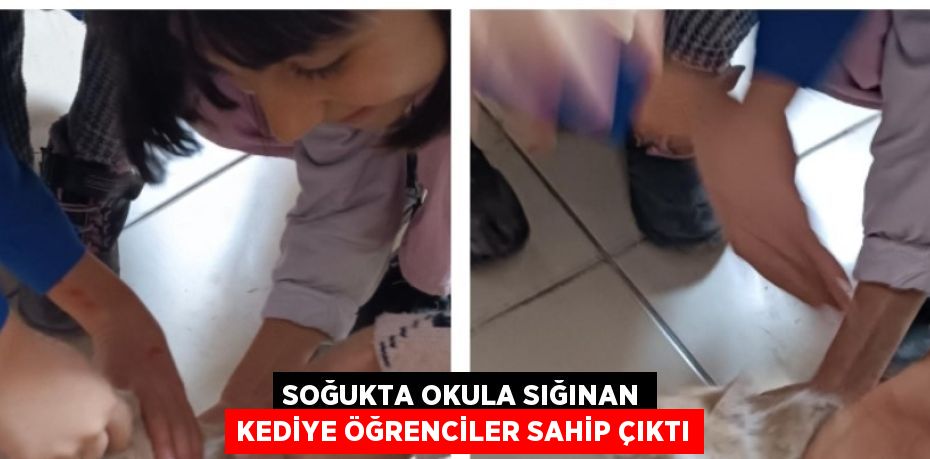 SOĞUKTA OKULA SIĞINAN KEDİYE ÖĞRENCİLER SAHİP ÇIKTI